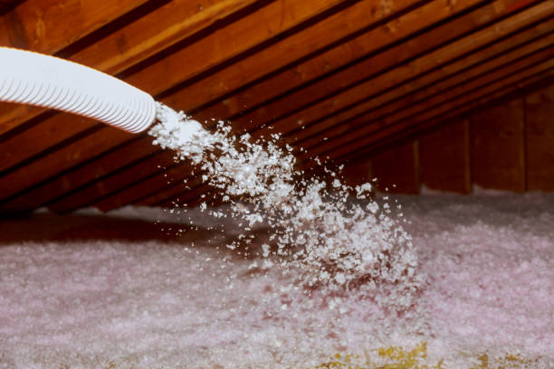 Best Types of Insulation in Broadmoor, CA
