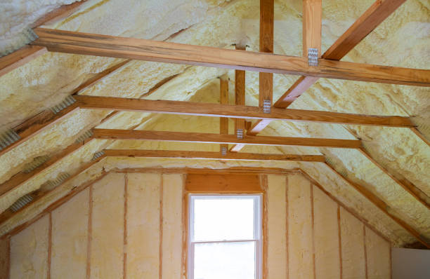 Best Types of Insulation in Broadmoor, CA